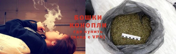 сатива Переславль-Залесский
