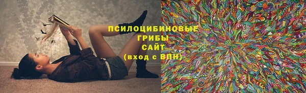 соль ск Осинники