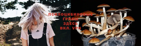 PSILOCYBIN Володарск