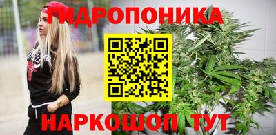 2c-b Заводоуковск