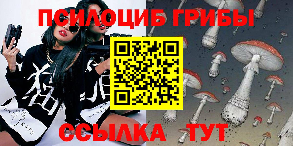 Галлюциногенные грибы MAGIC MUSHROOMS  Рассказово  где найти наркотики  Псилоцибиновые грибы Cubensis 