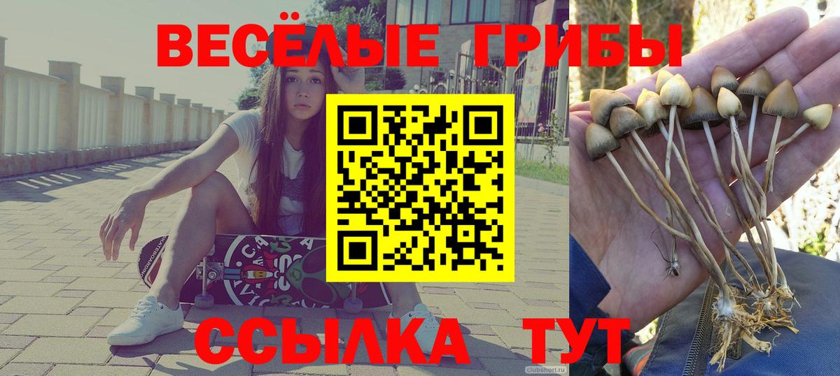 Галлюциногенные грибы мухоморы Рассказово