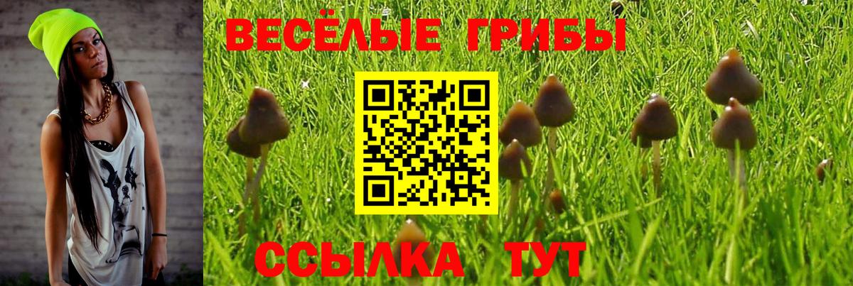 Рассказово  купить  цена  Вход с VPN  Псилоцибиновые грибы Psilocybine cubensis 